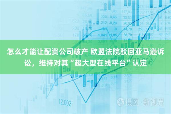 怎么才能让配资公司破产 欧盟法院驳回亚马逊诉讼，维持对其“超大型在线平台”认定