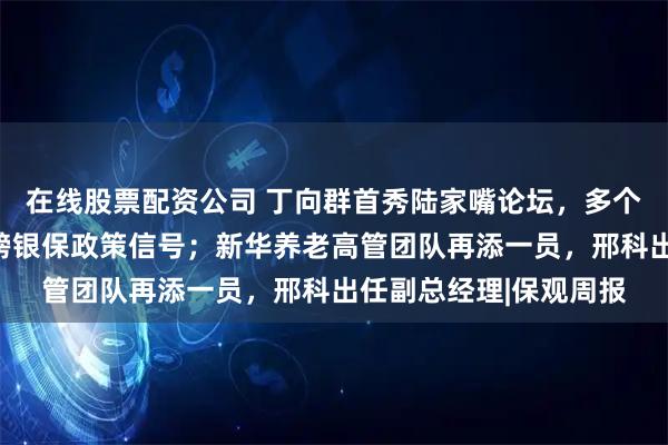 在线股票配资公司 丁向群首秀陆家嘴论坛，多个金融管理部门释放重磅银保政策信号；新华养老高管团队再添一员，邢科出任副总经理|保观周报